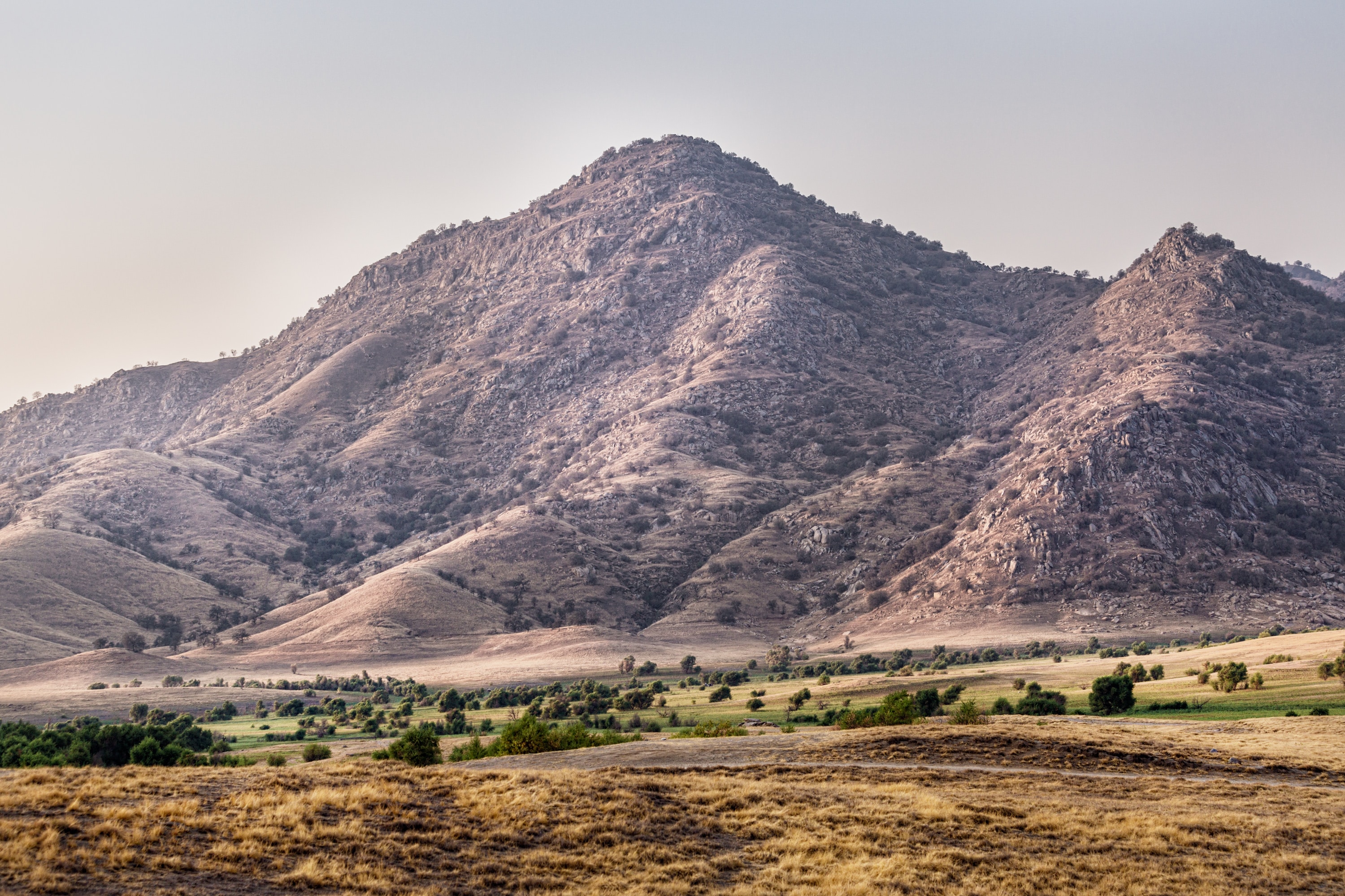 Mountainandgrasses Wildlife Innovations