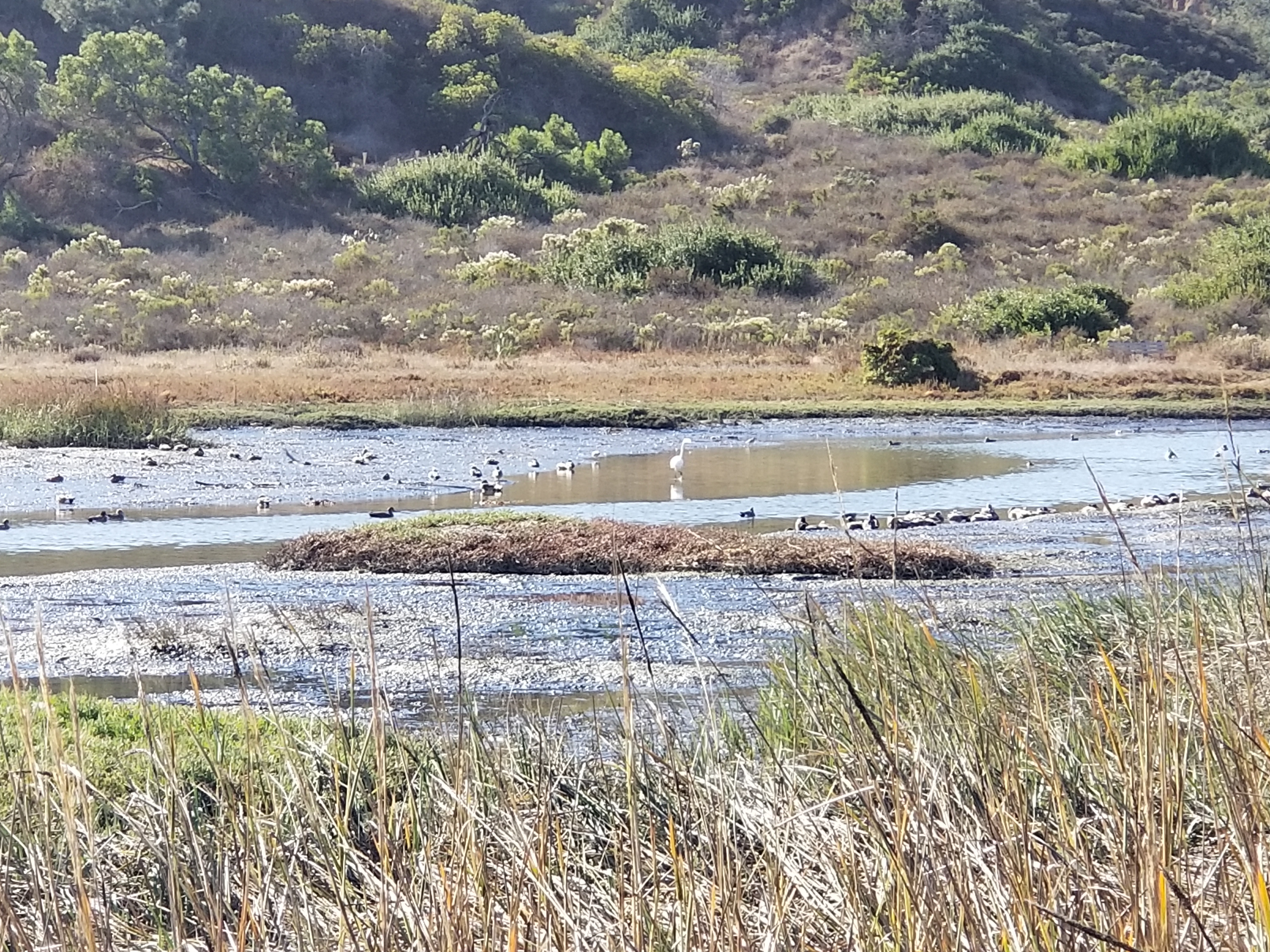 San Elijo Lagoon